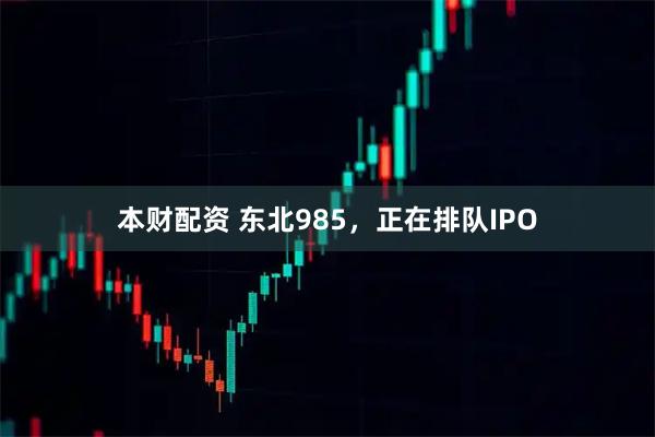 本财配资 东北985，正在排队IPO