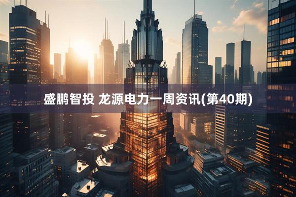 盛鹏智投 龙源电力一周资讯(第40期)