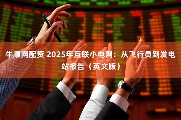 牛顺网配资 2025年互联小电网：从飞行员到发电站报告（英文版）