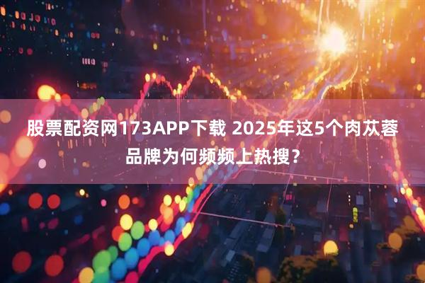 股票配资网173APP下载 2025年这5个肉苁蓉品牌为何频频上热搜？